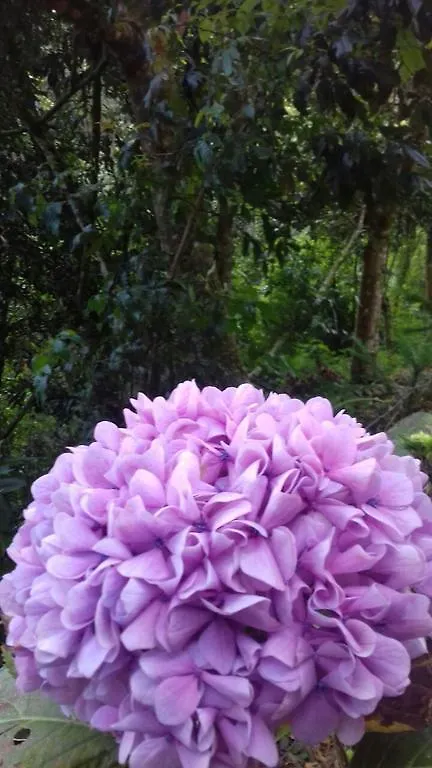 Pousada Toca Dos Tucanos Campos do Jordao Inn