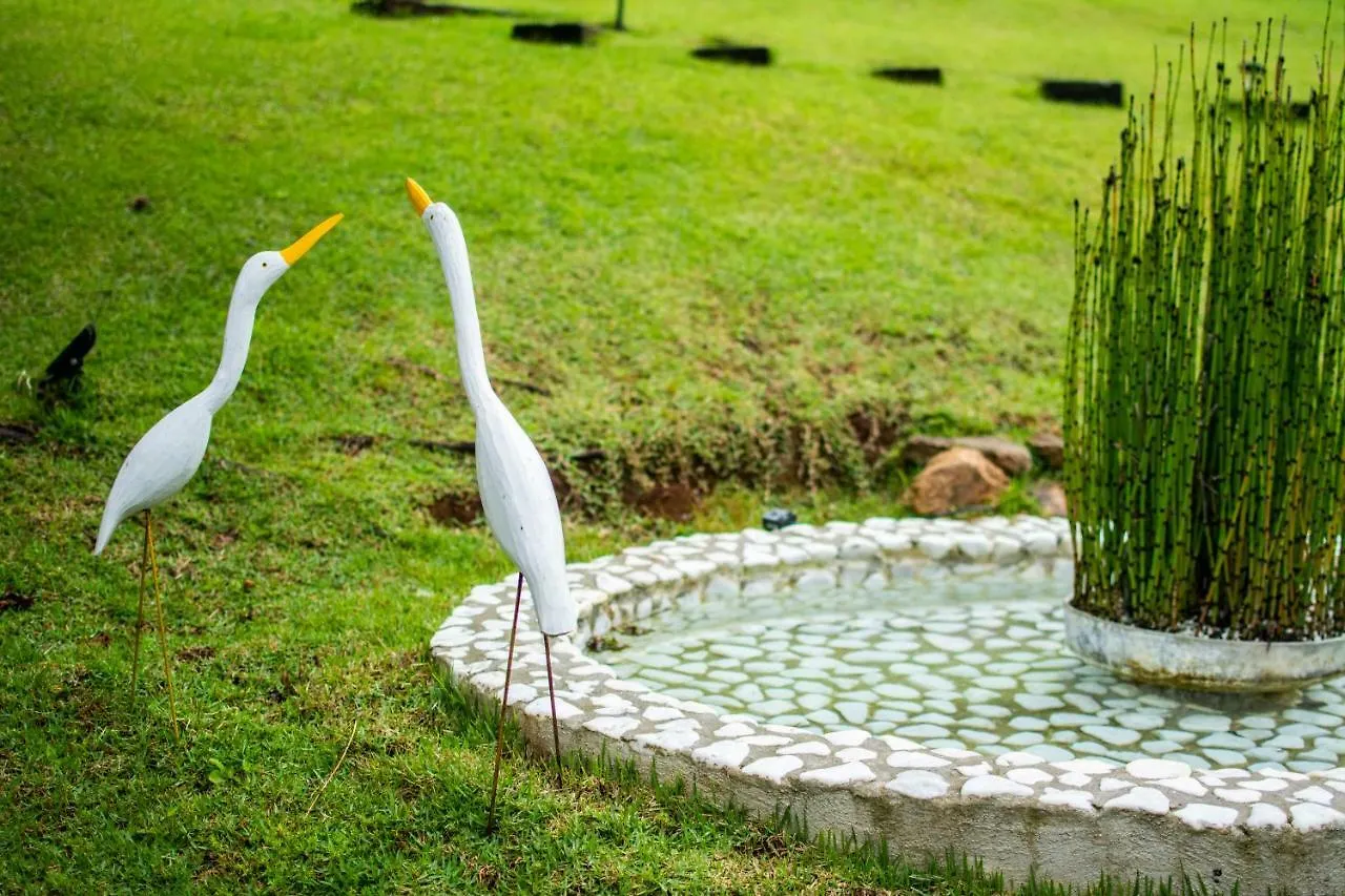 Inn Pousada Toca Dos Tucanos Campos do Jordao